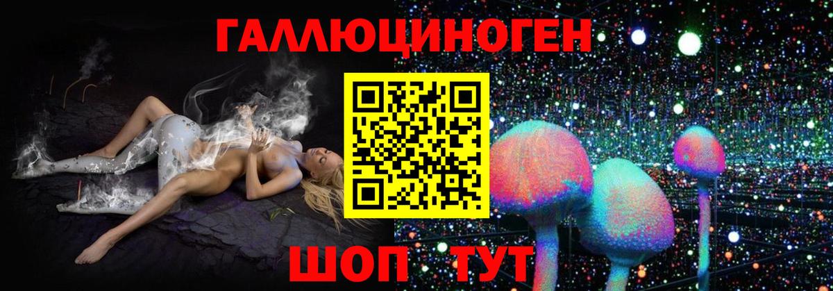 Псилоцибиновые грибы Psilocybine cubensis Беслан