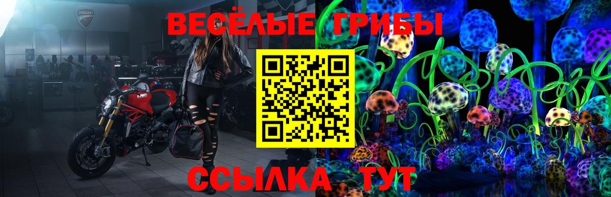 Беслан  Галлюциногенные грибы ЛСД  Вход с VPN 