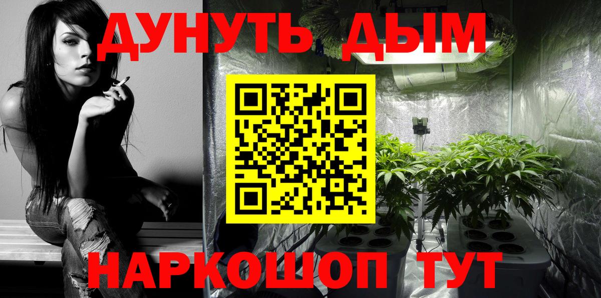 Конопля гибрид Беслан